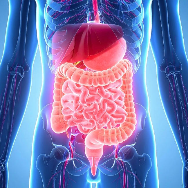 gastrointestinal-tile