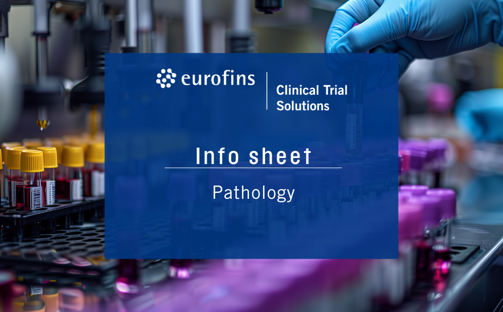 web-image-info-sheet-pathology