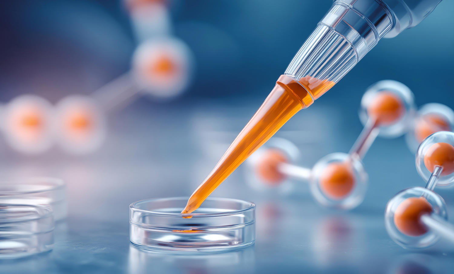 molecular PCR