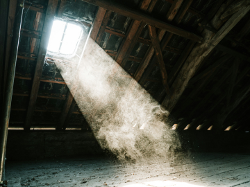 dust