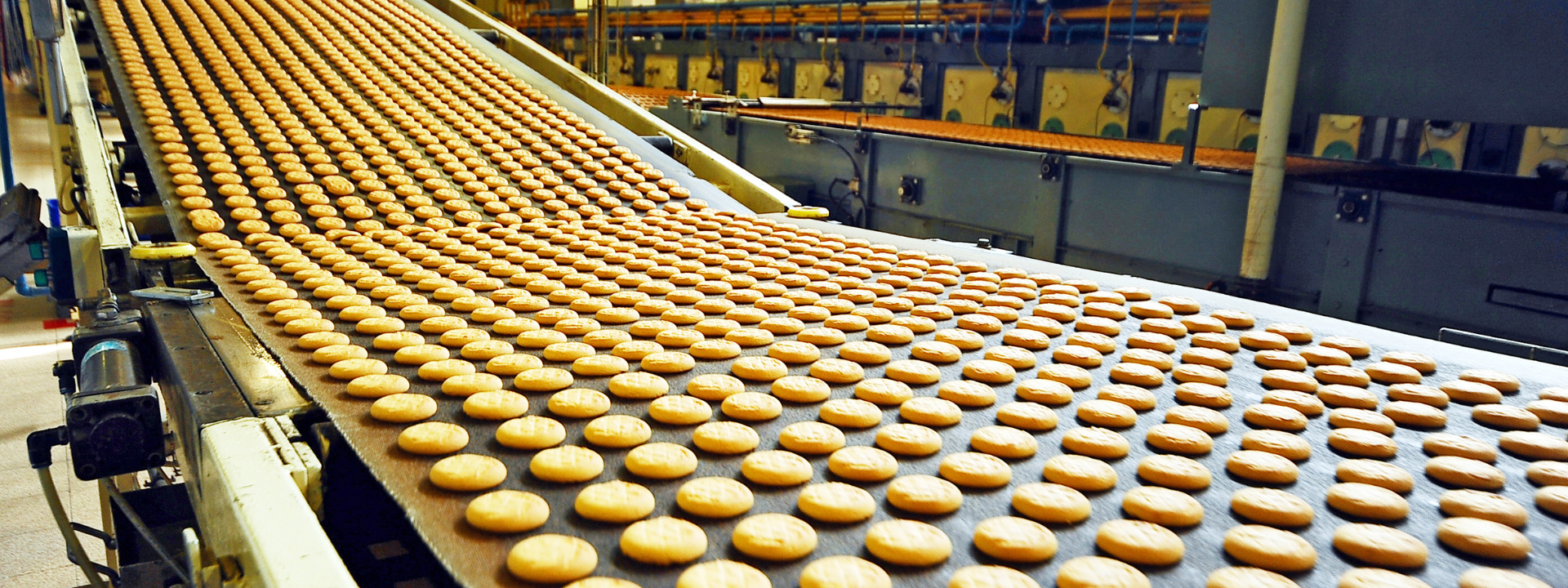 gmp-food-audits-banner