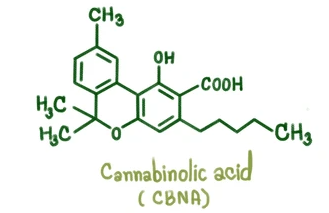 cbna
