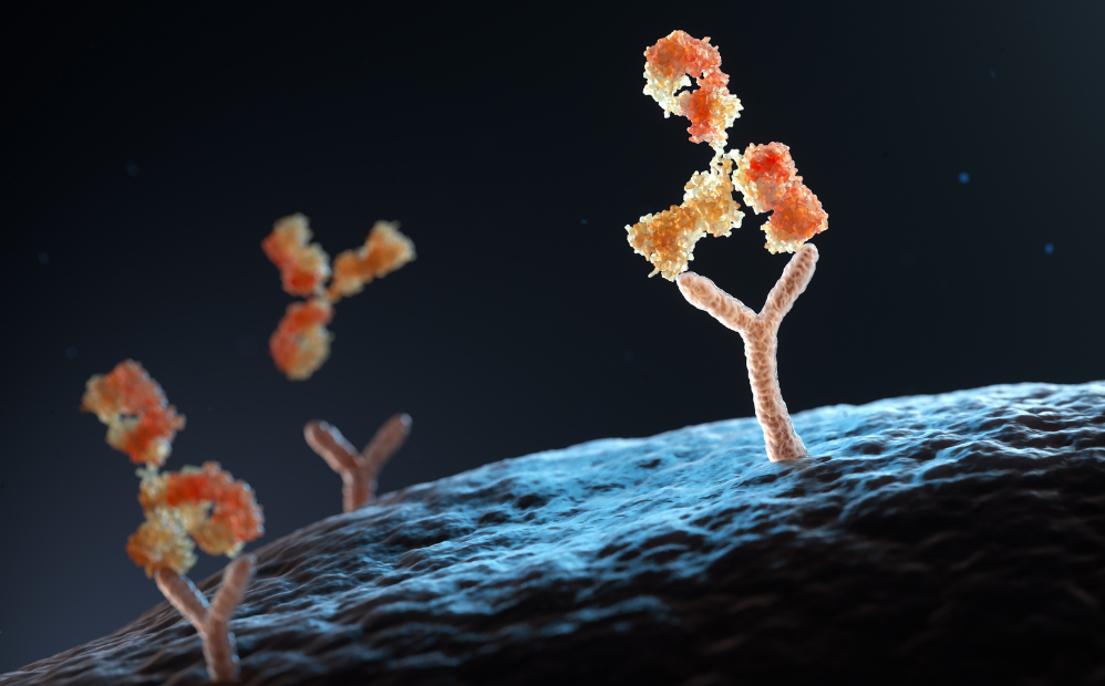 ligand-binding-image