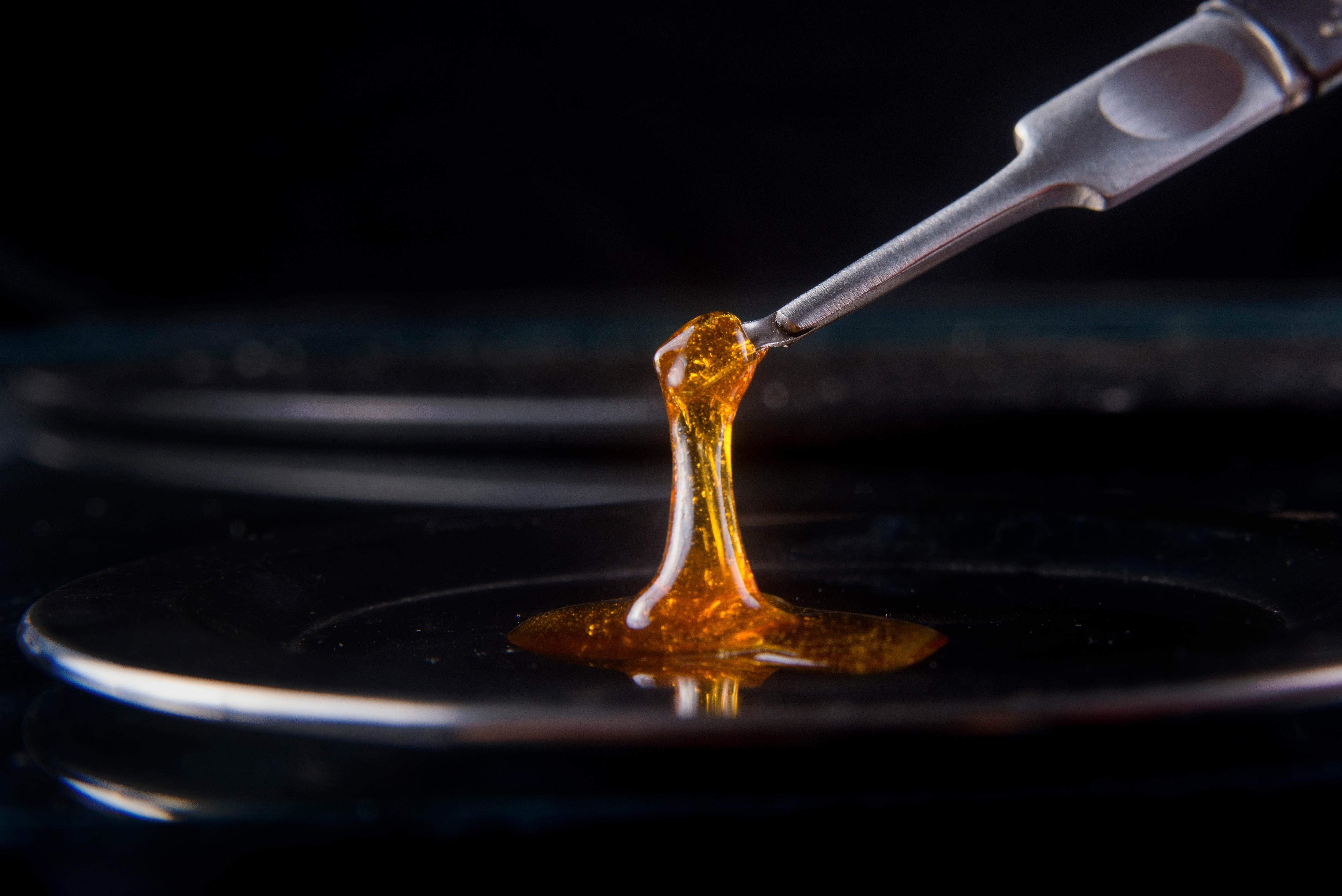 adobestock_133011448