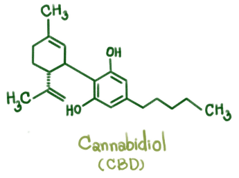 cbd
