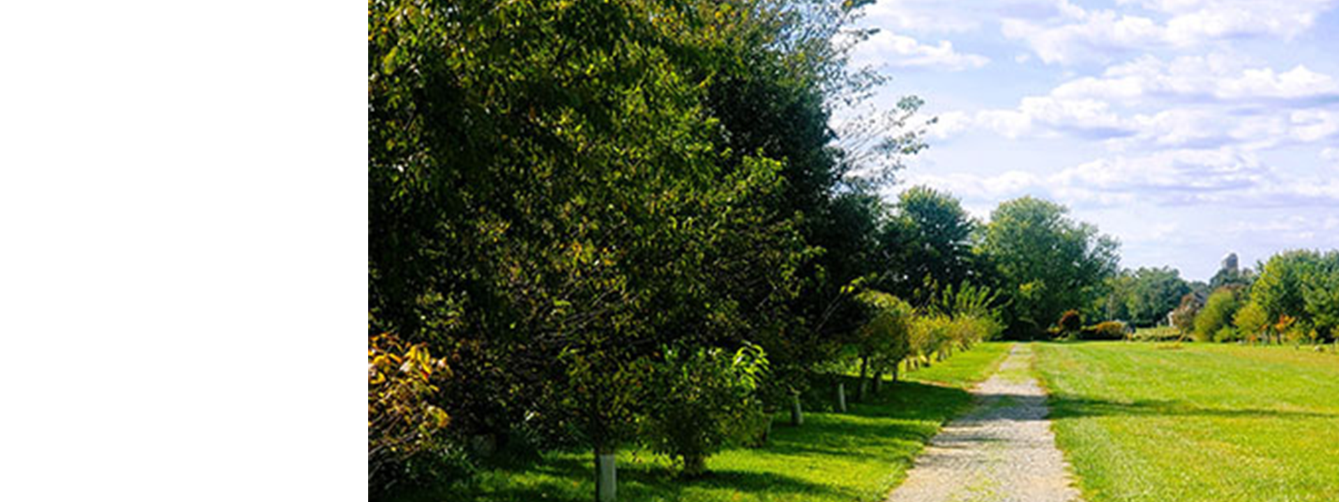 walking-trail-banner