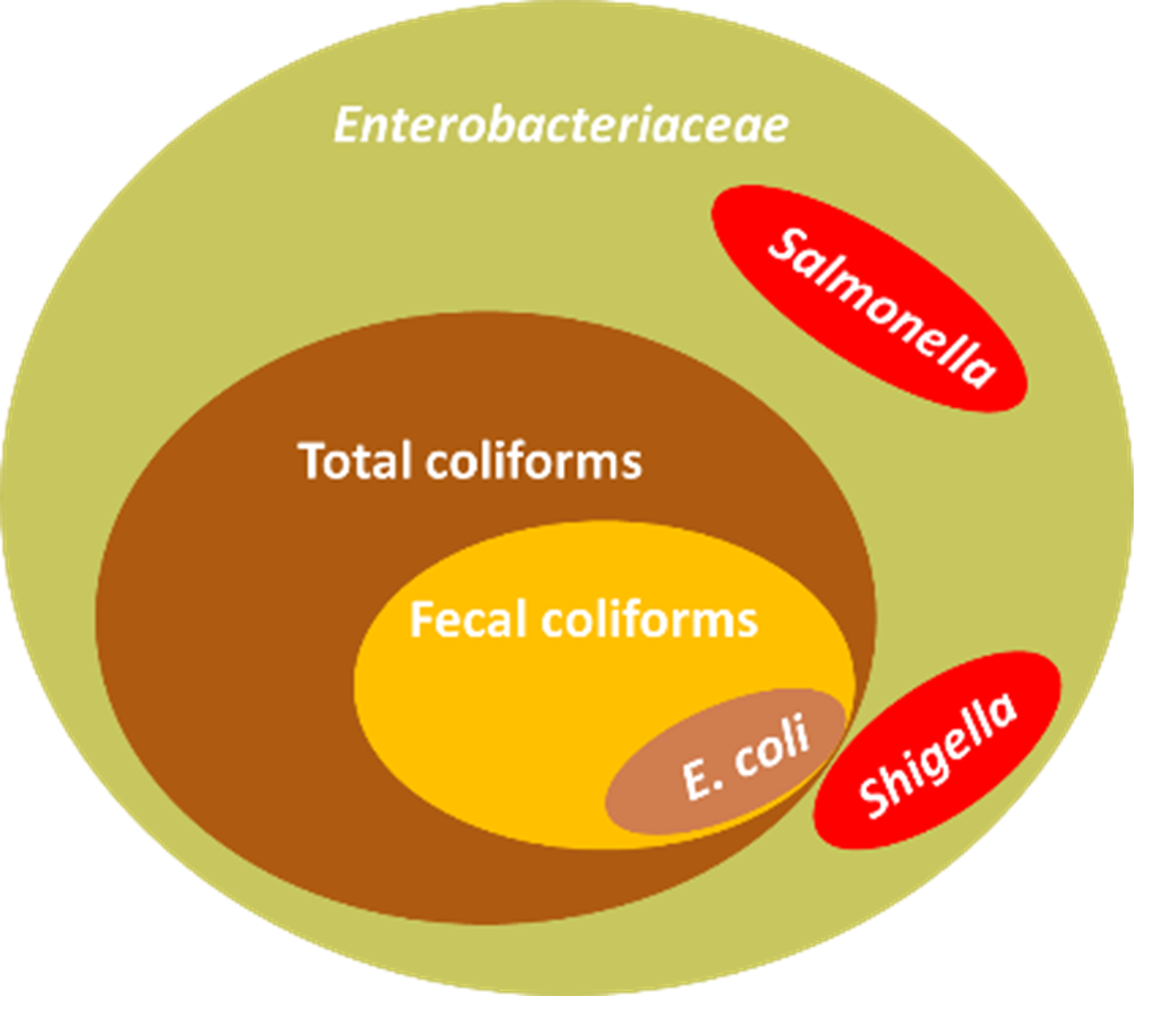 indicator-testing-relationships-within-enterobacteriaceae
