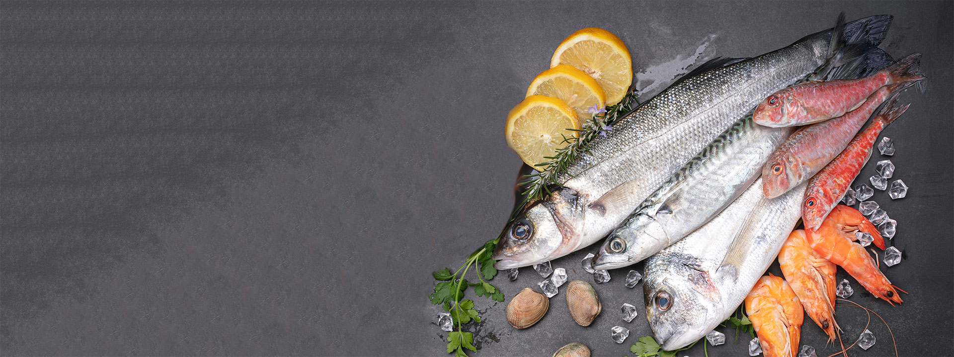 authenticity_fish_banner_1920x720px