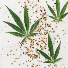 hemp-cbd_image-collage