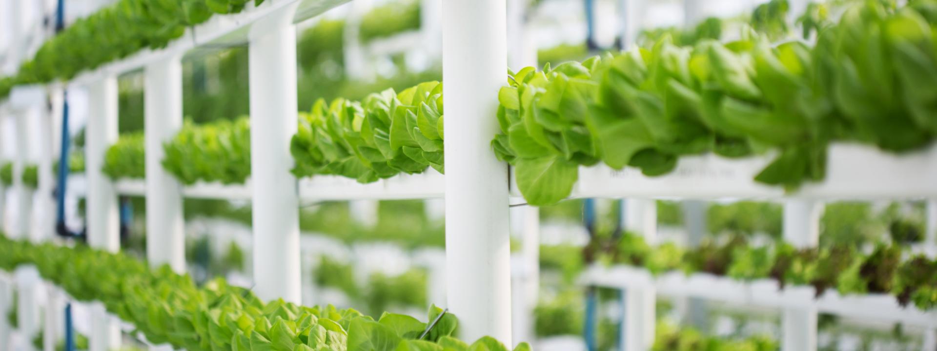 feed-agriculture-banner