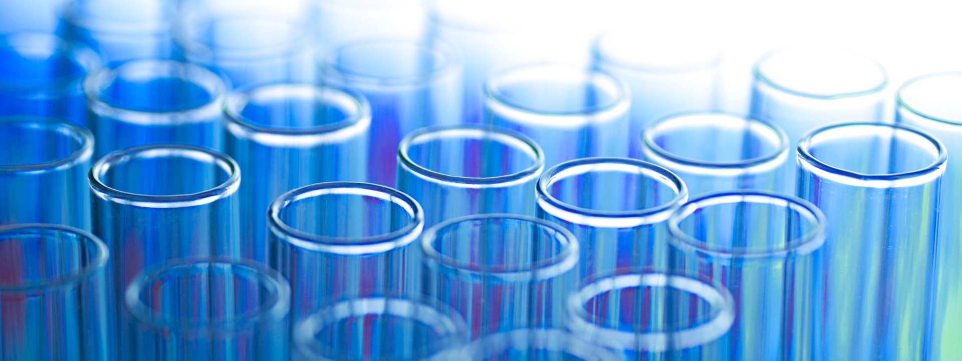 services_banner-image