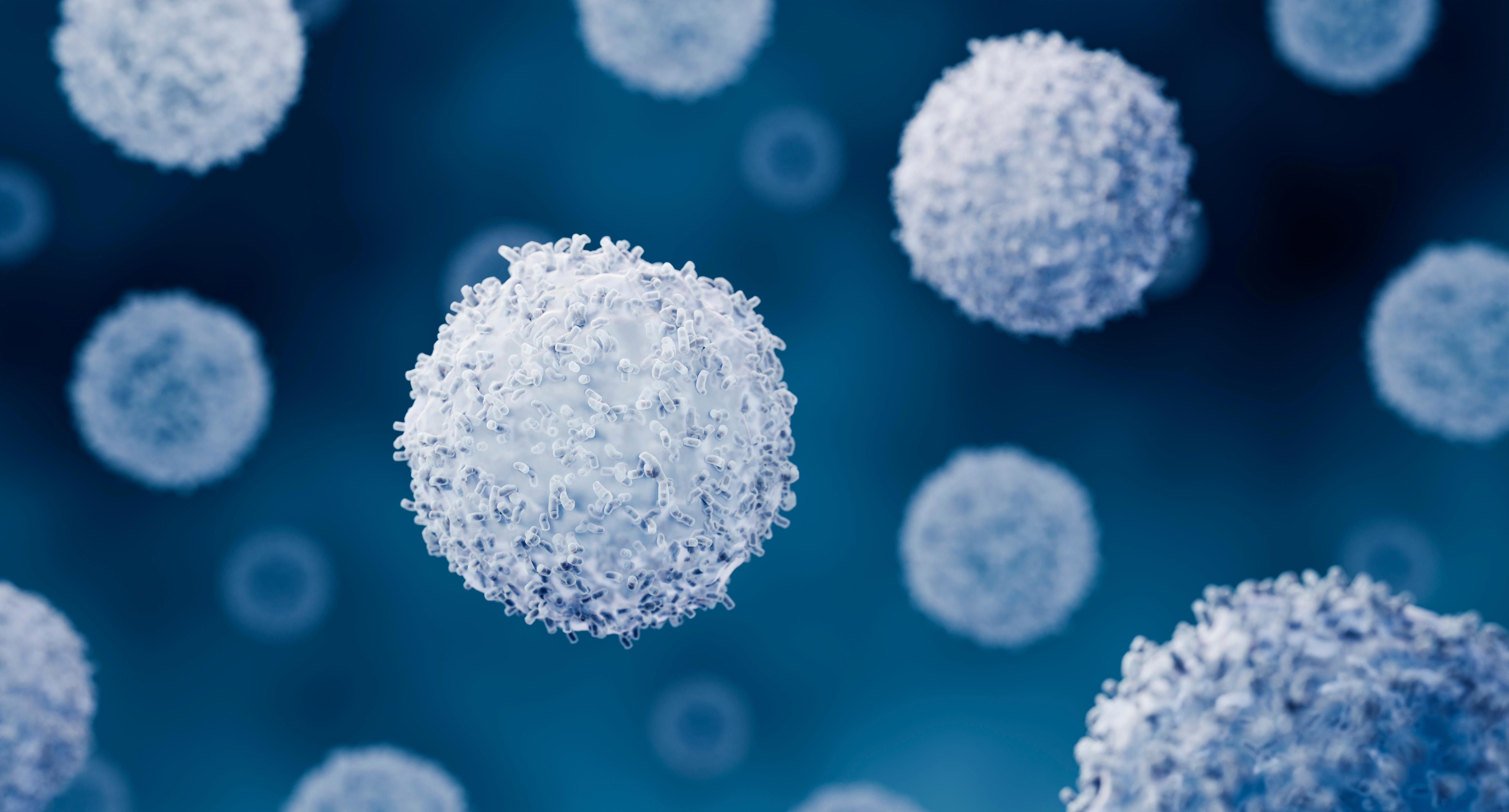 lymphocytes-adobestock_771650171