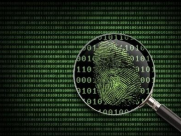 fingerprint