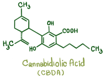 cbda