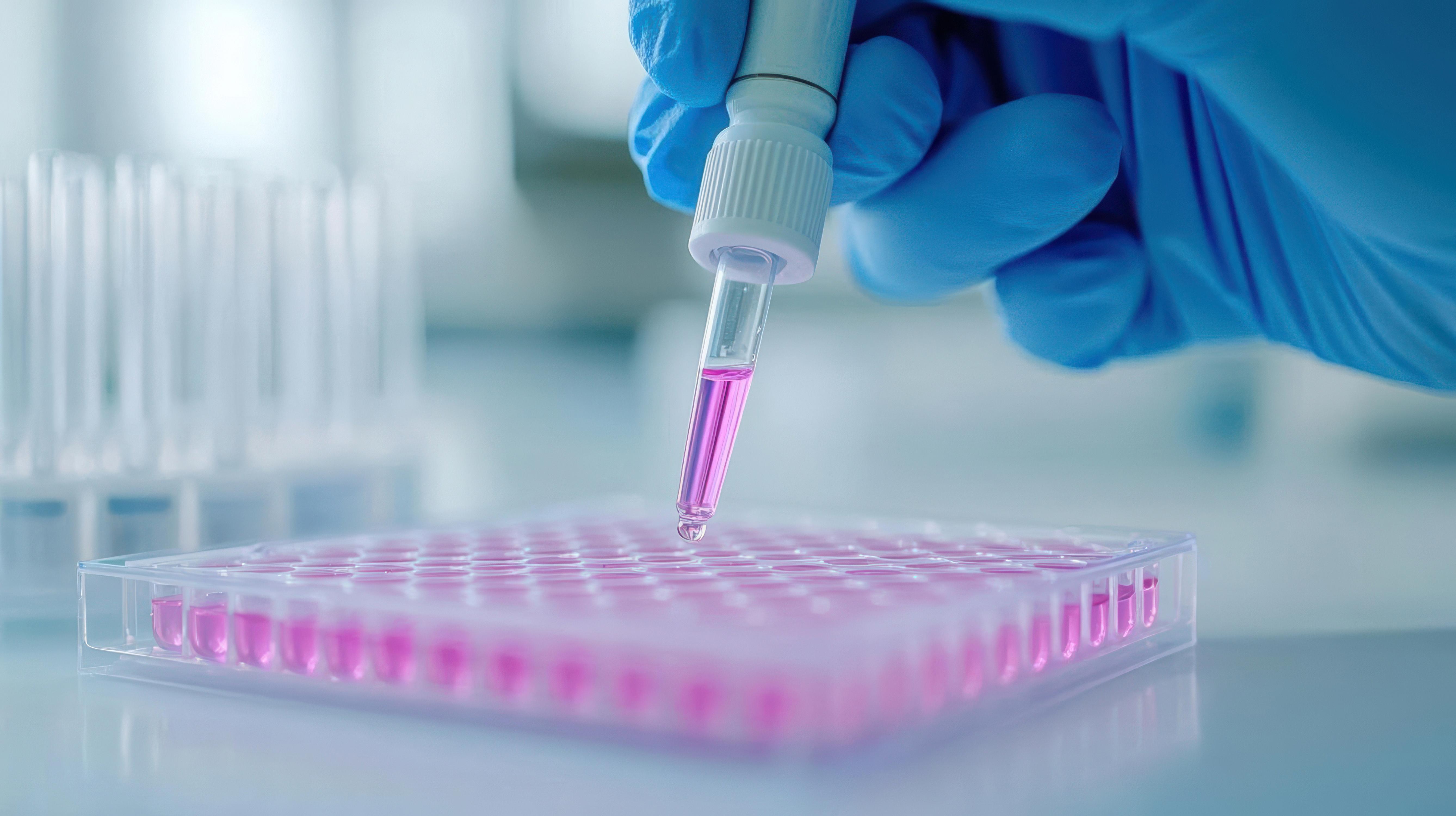 biotechnology-laboratory-and-cell-culture-with-medical-innovation-gloved-hands-pipetting-solution-into-multiwell-plate-live-cell-culture-experiment-in-progress_adobestock_1524430026
