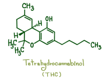 thc