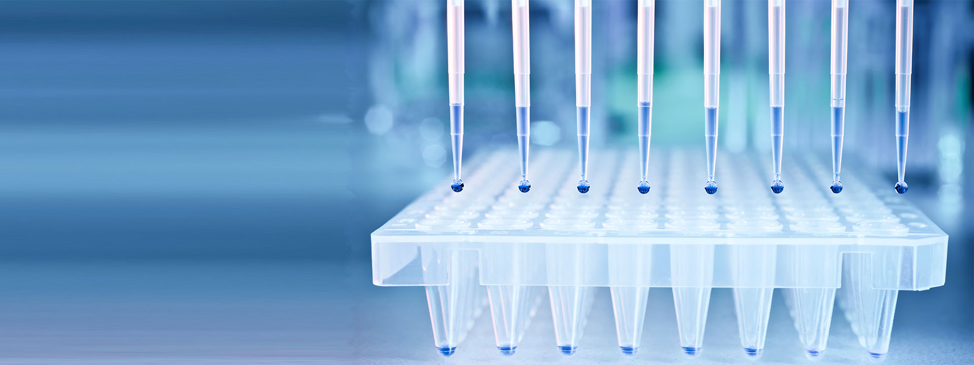 gmo_banner_1920x720px