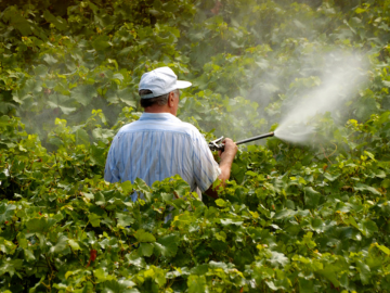 pesticides