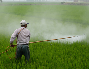 pesticide_300-x-233