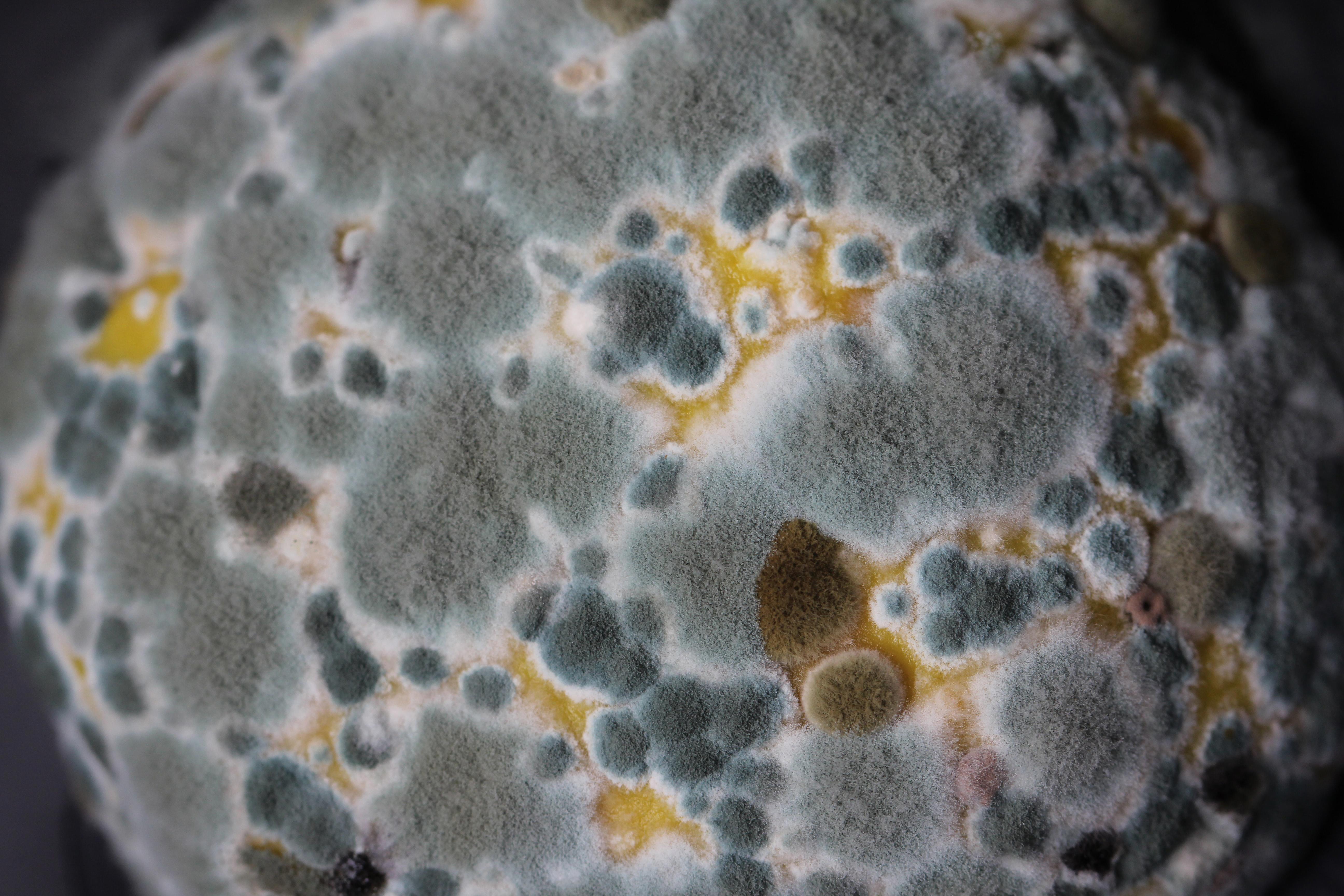 sandy-millar-6tf2unogk1c-unsplash