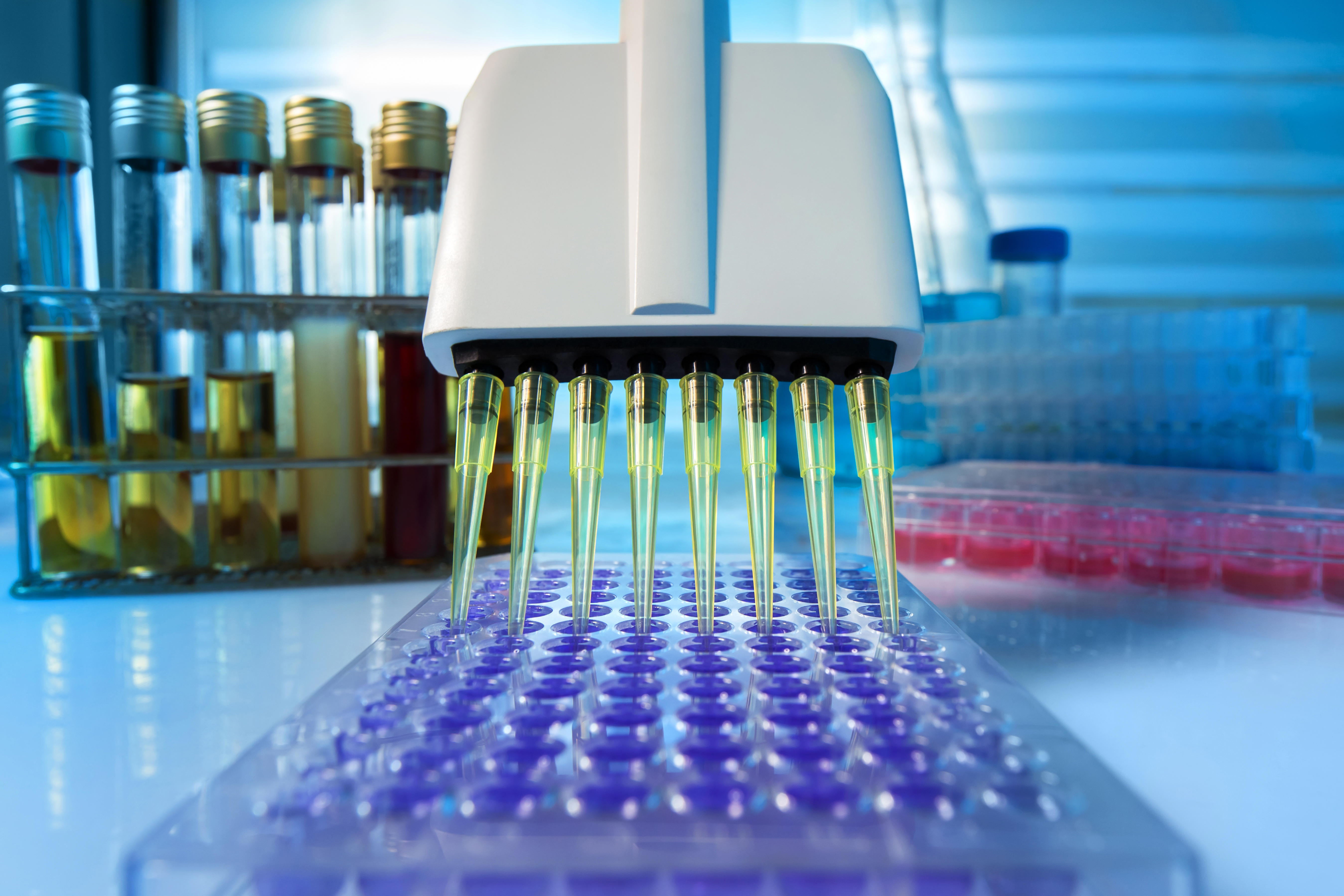 multichannel-pipette-load-samples-in-pcr-microplate-with-96-wells-multi-channel-pipette-loading-biological-samples-in-microplate-for-test-in-the-laboratory_adobestock_199018186