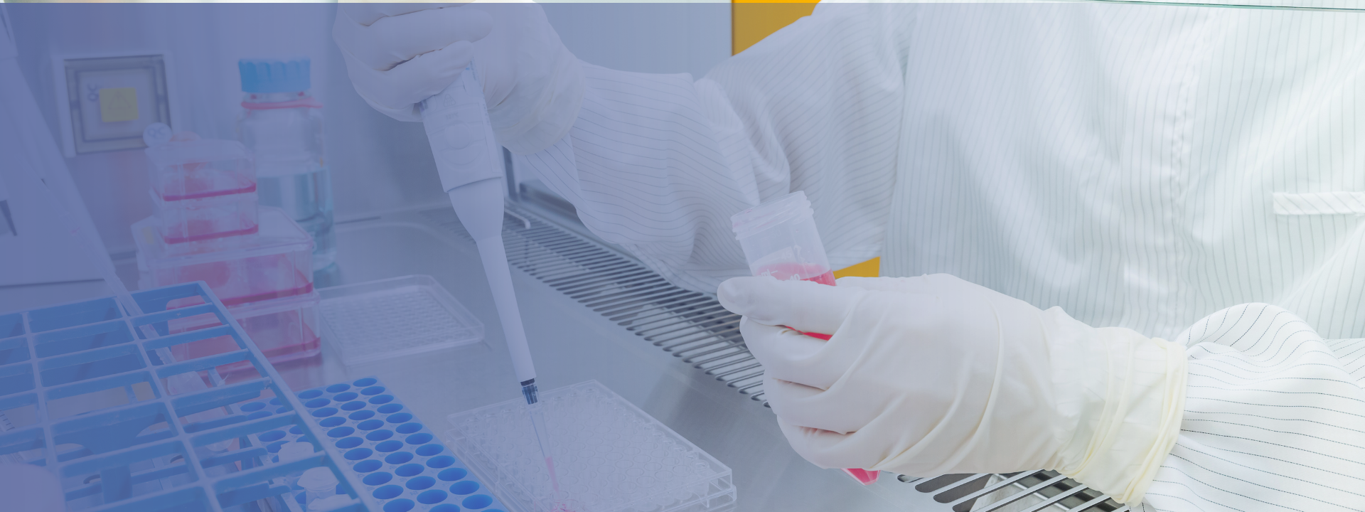 cell-based-assays (1)