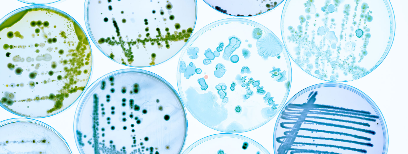 microbiologia
