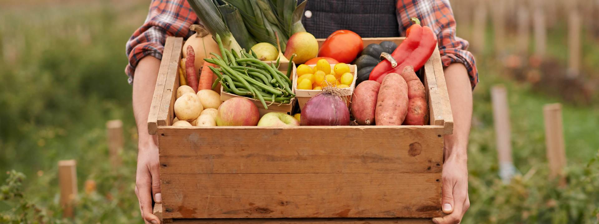 safe-feed-safe-food-certification-banner