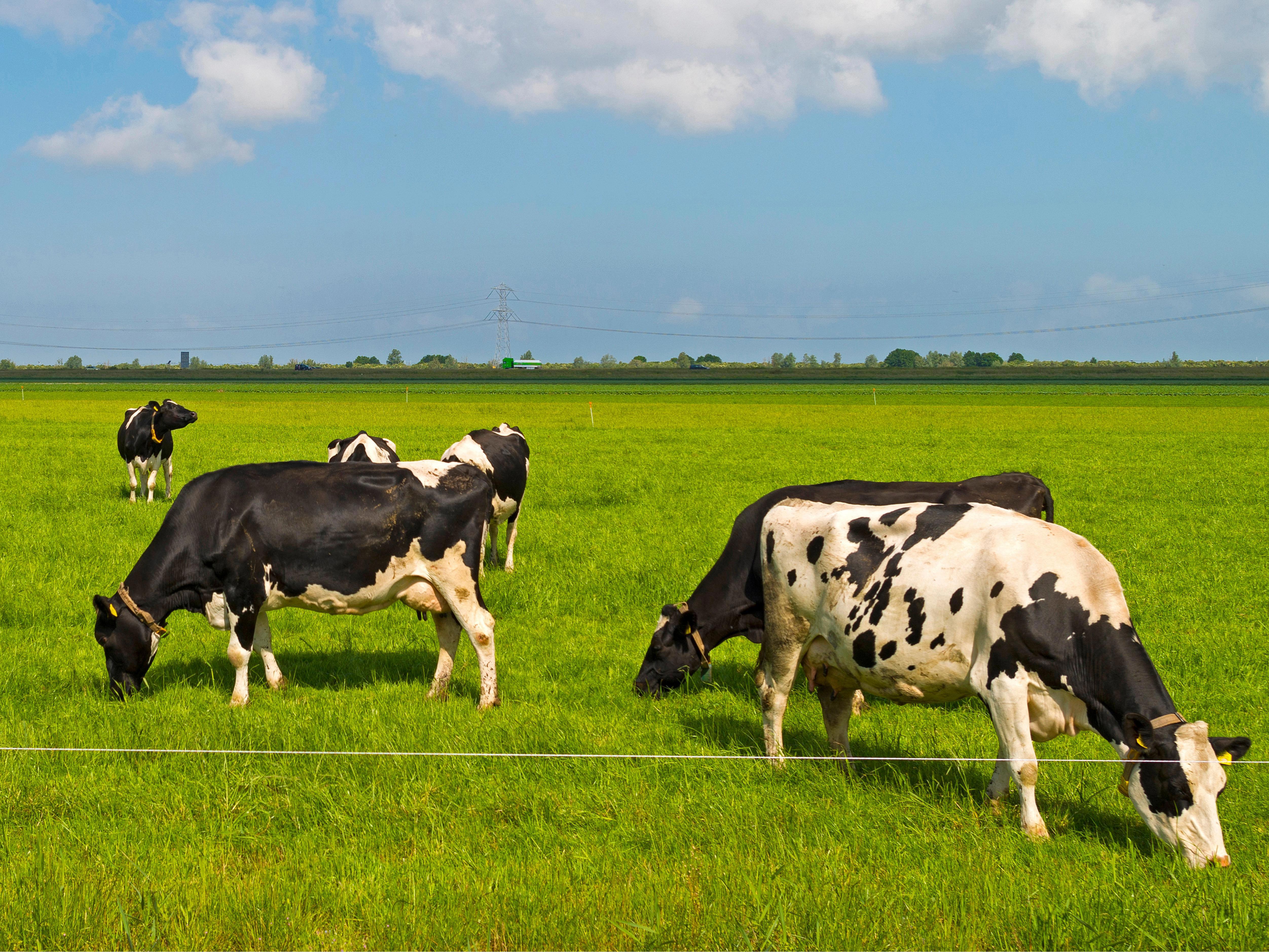 47957033_xl_cropped_54