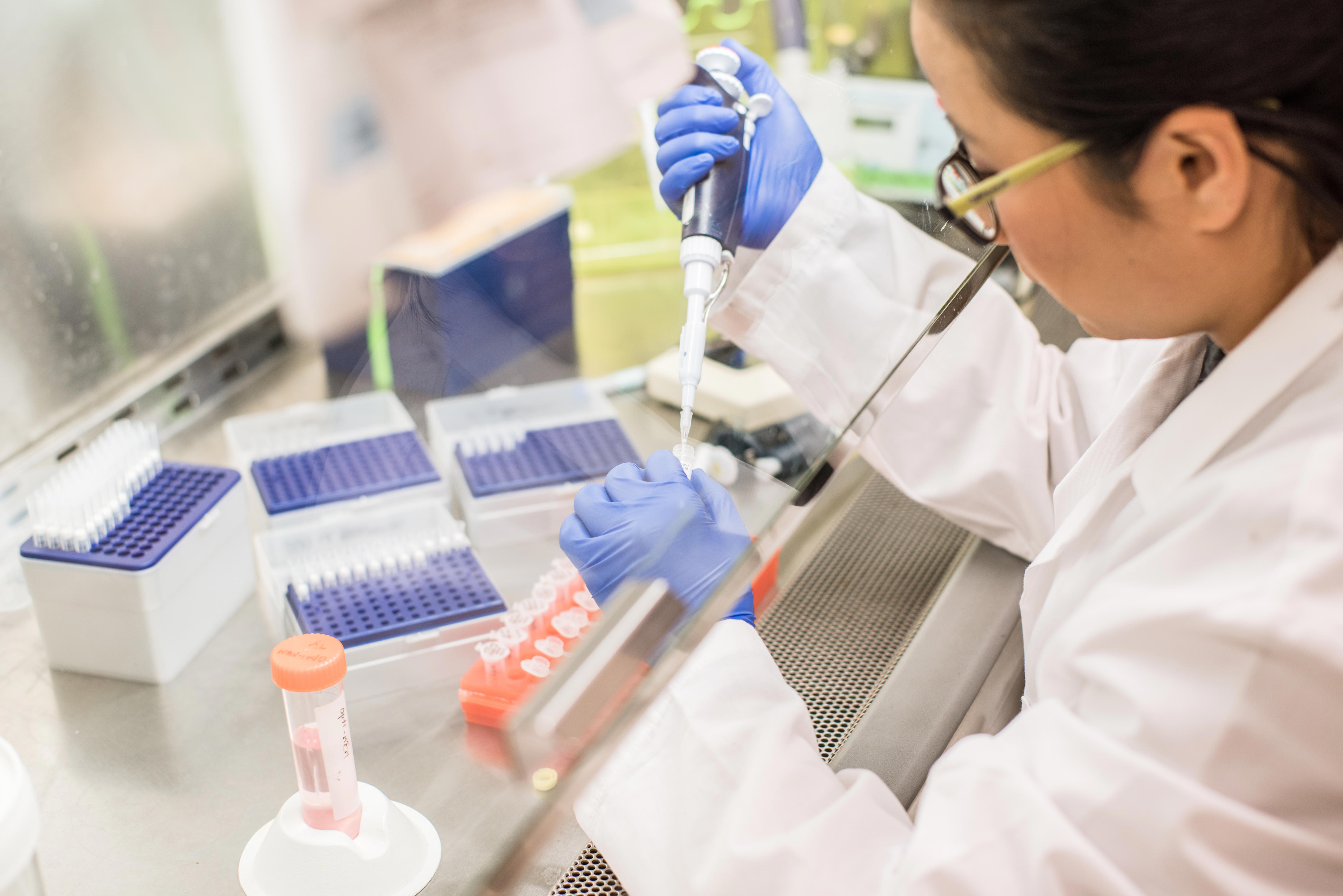 working-in-the-biosafety-cabinet