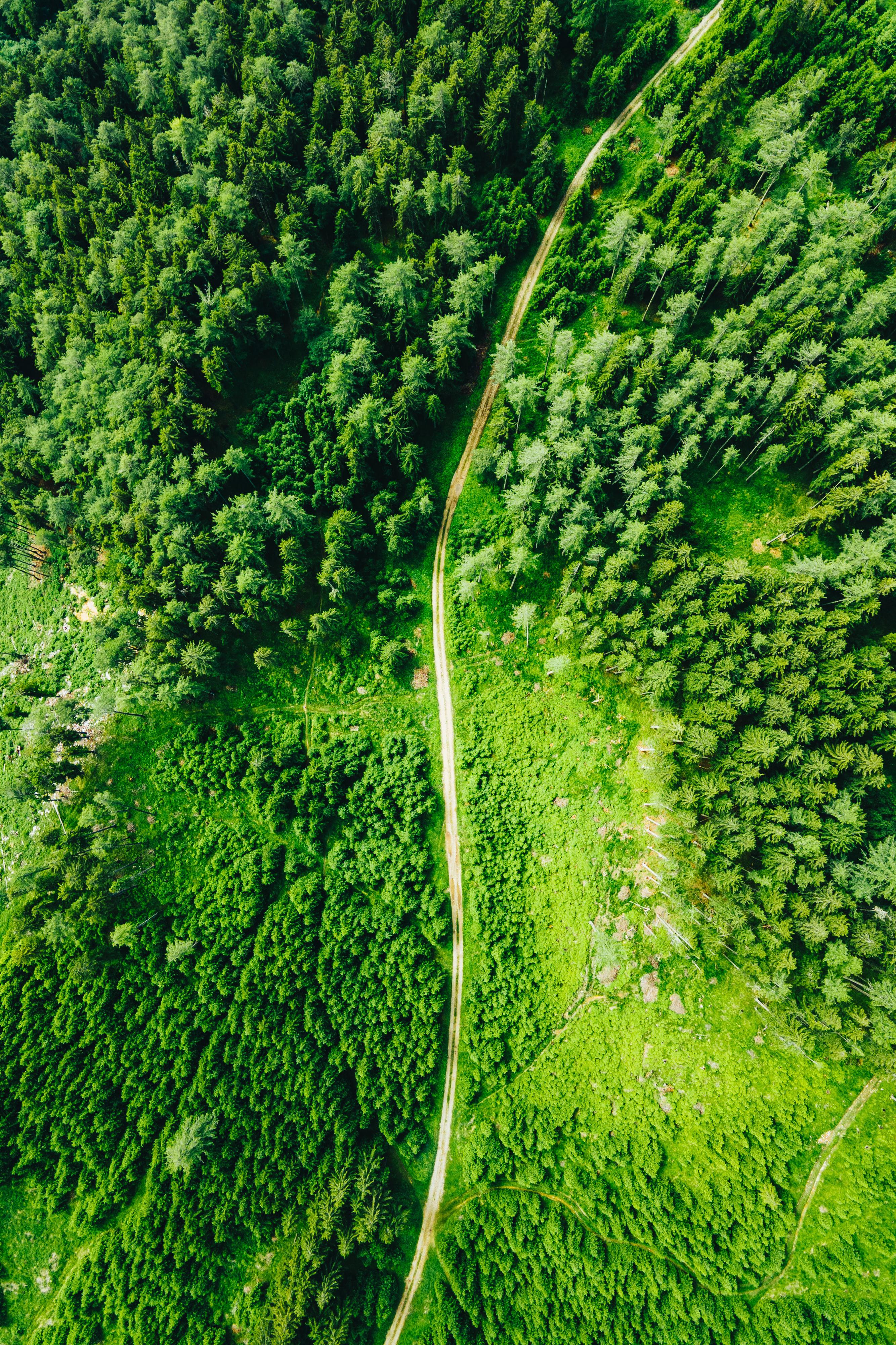 miha-rekar-wm9omdn_ig-unsplash