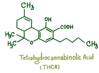 thca