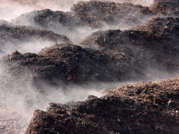 landfill