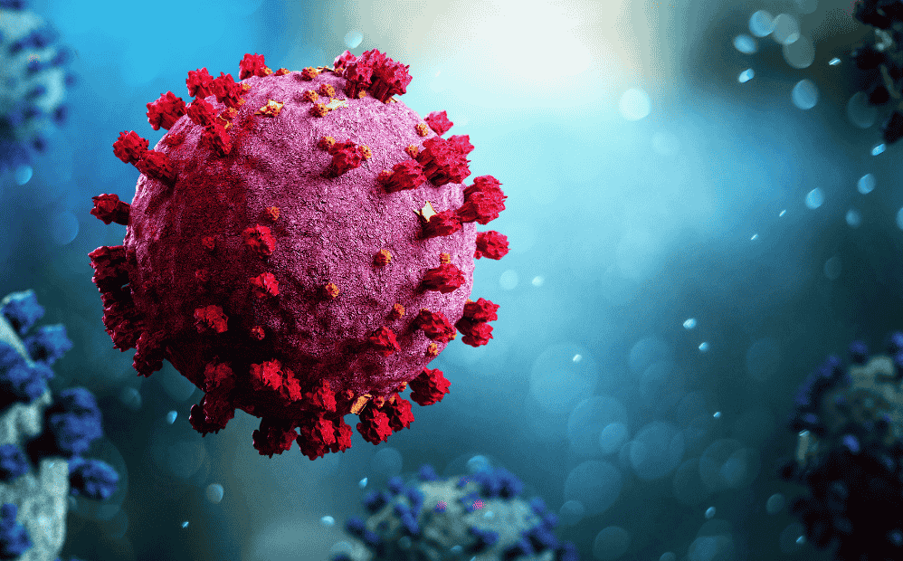 case-study-assay-dev-covid-19