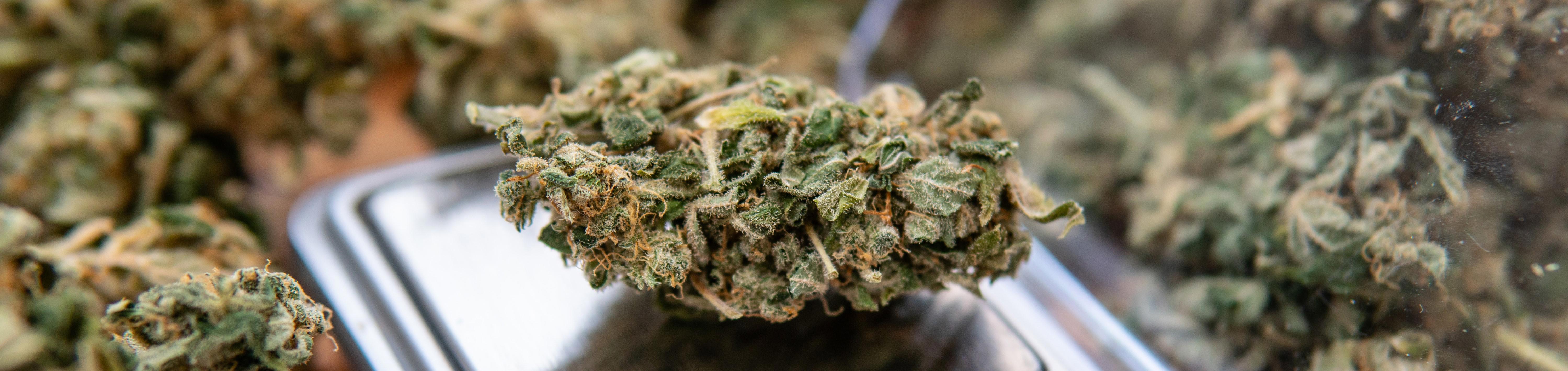 header-supplements-1 (1)