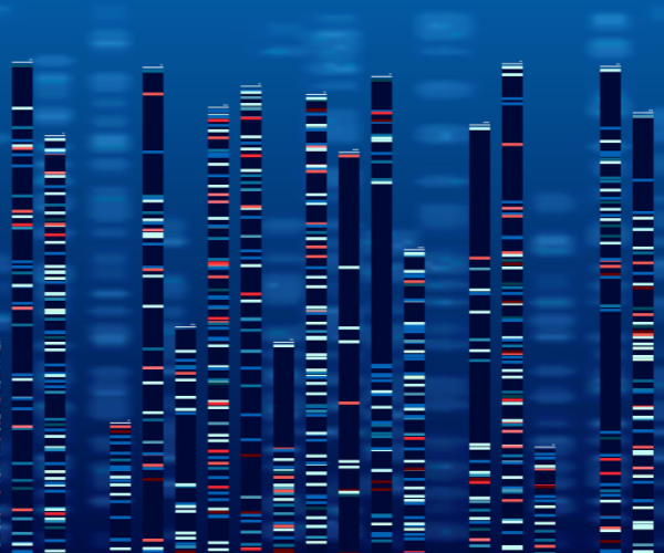 dna-data