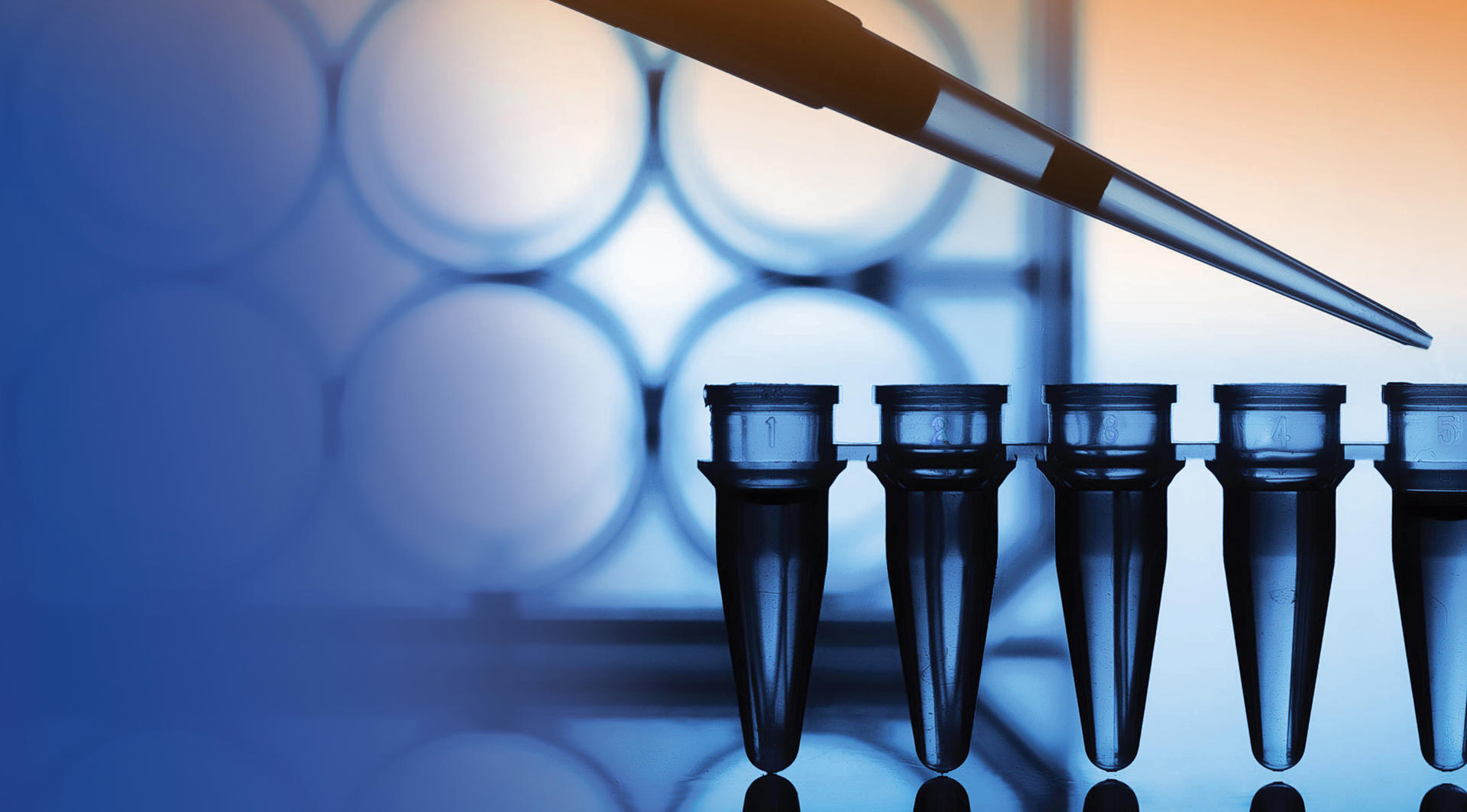 clinical diagnostics laboratory micro-tubes - slider