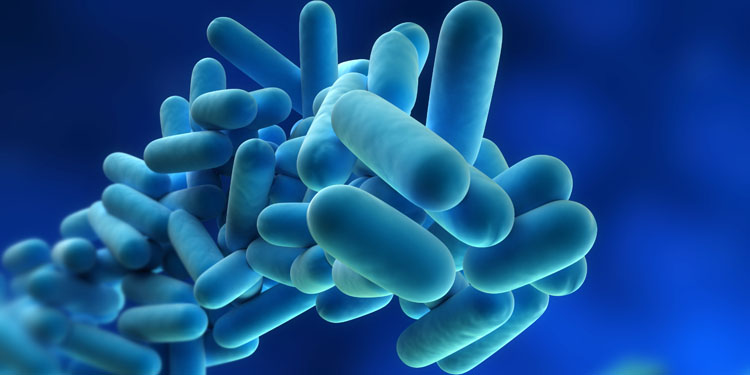 legionella-pneumophila5000x3750pxjpg