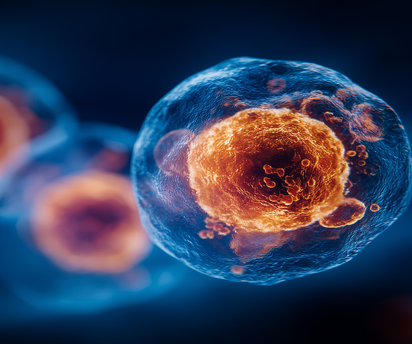 cell-based-assays-1