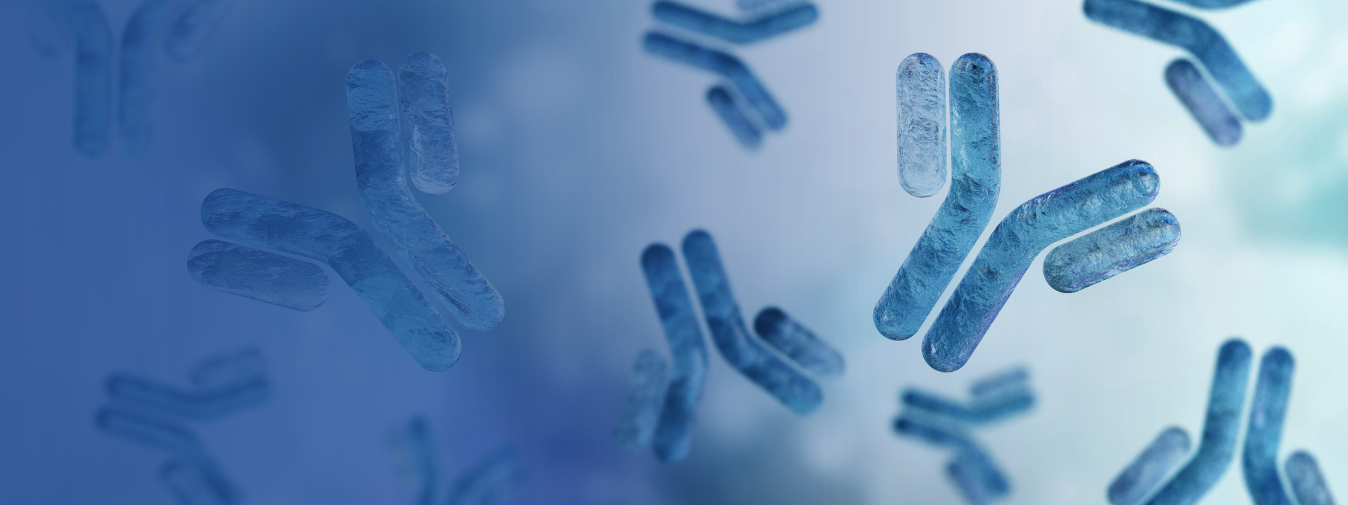 immunology-and-inflammation