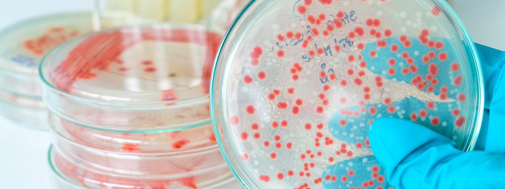 microbiology_banner-image