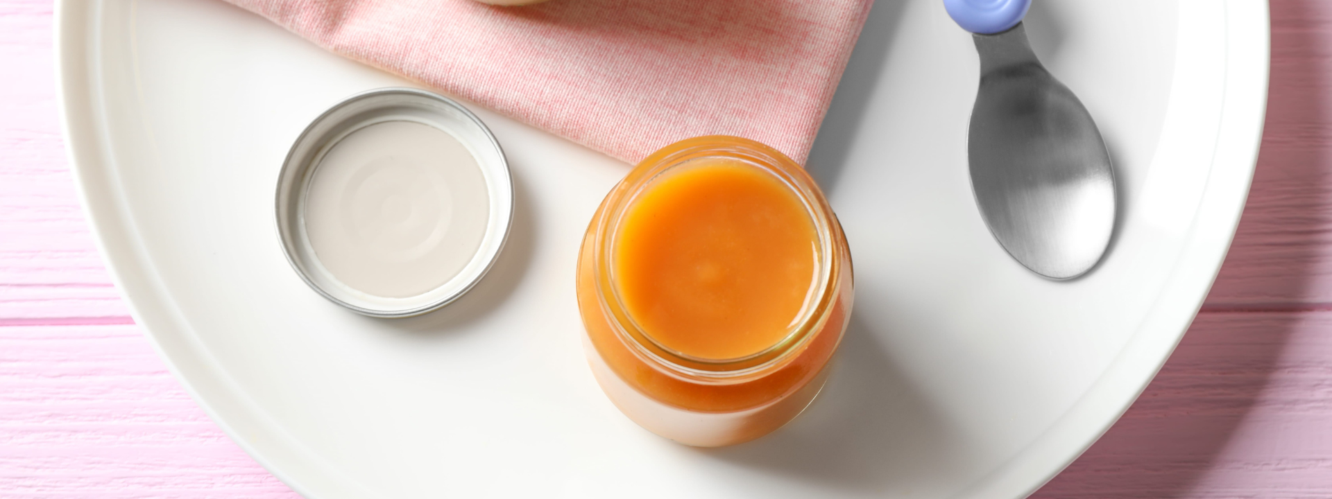 baby-food_banner-image