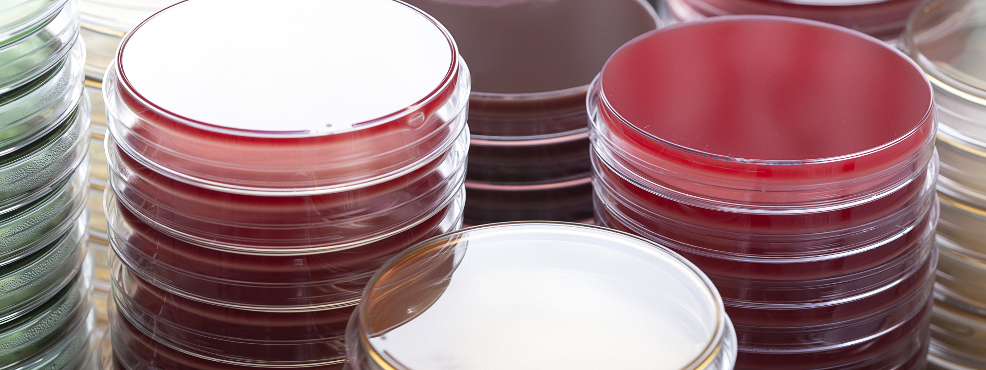 eurofins_softlines_hardlines_microbiology_testing_services