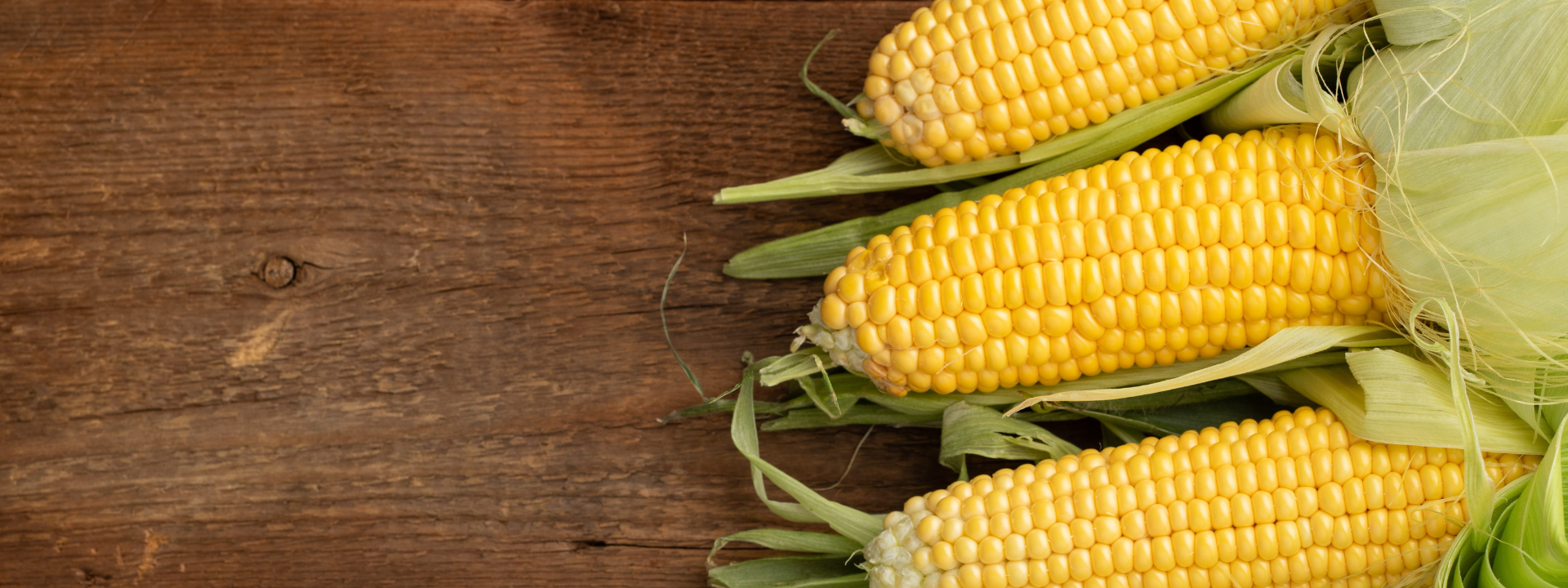 gmo_banner-image
