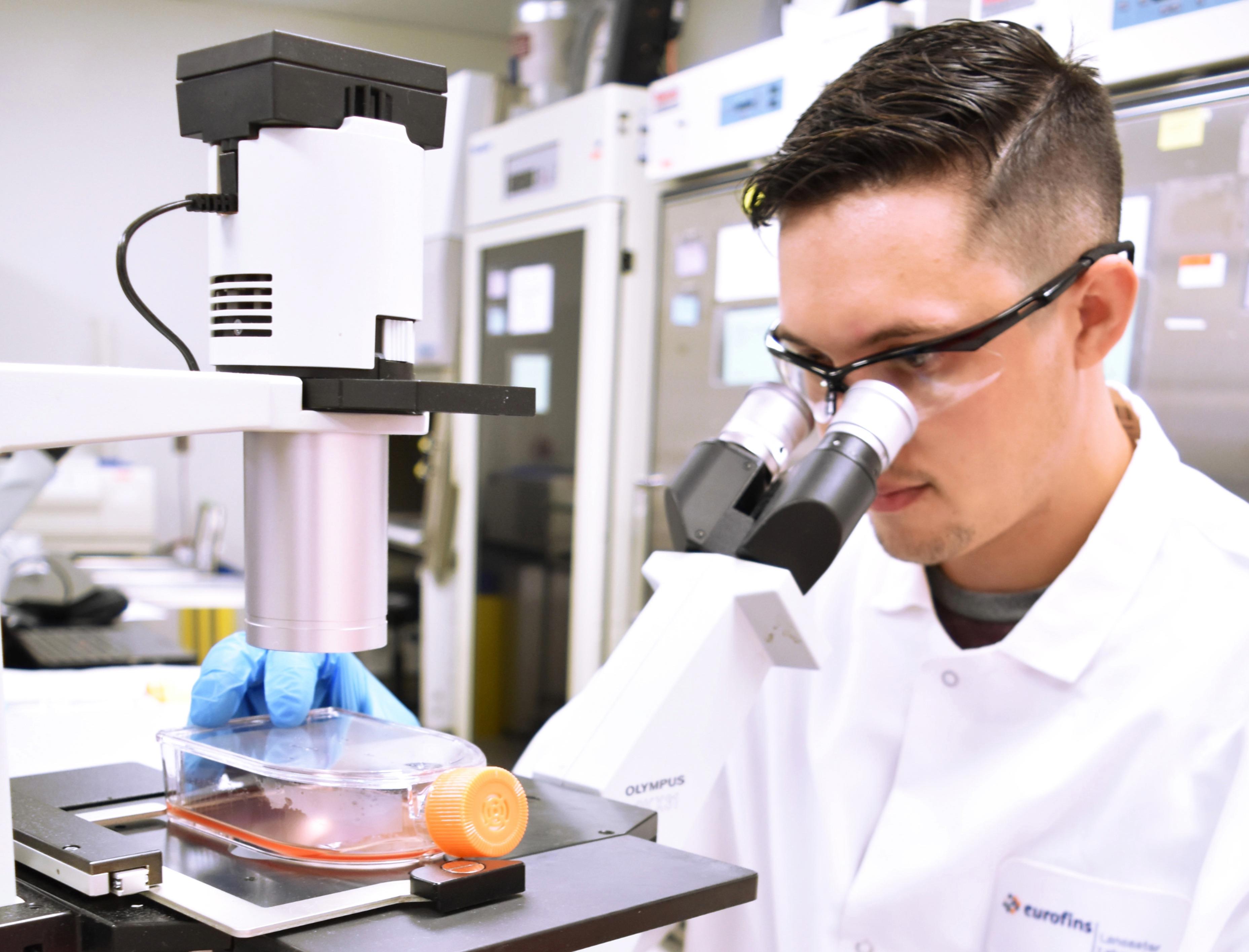 observingcells_with-microscope