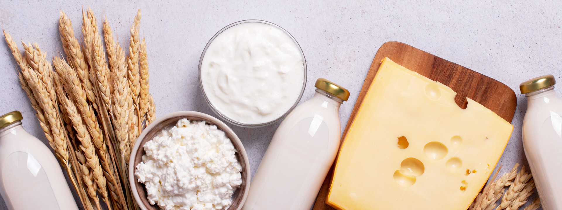 dairy_banner-image